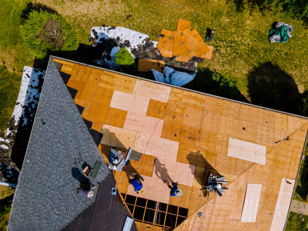 Tile Roofing Contractor in Maplewood, WA