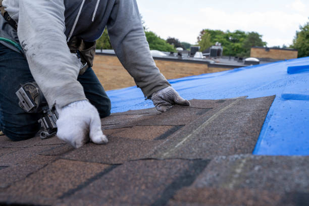 Best Roof Waterproofing Services  in Maplewood, WA