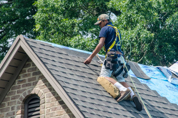 Best Residential Roof Replacement  in Maplewood, WA